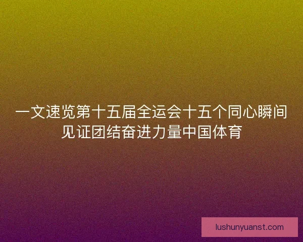 一文速览第十五届全运会十五个同心瞬间见证团结奋进力量中国体育