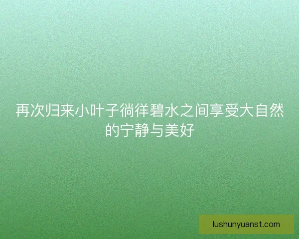 再次归来小叶子徜徉碧水之间享受大自然的宁静与美好